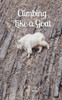 Climbing Like a Goat by Lan Donne (Paperback)
