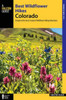 Best Wildflower Hikes Colorado