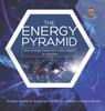 The Energy Pyramid : How Energy Flows from One Object to Another | Physics Books for Beginners Grade 4 | Children's Physics Books by Baby Professor (Hardcover)