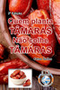 QUEM PLANTA TÂMARAS, NÃO COLHE TÂMARAS - Celso Salles - 2ª Edição by Celso Salles (Paperback)