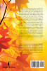On Sad Afternoons by Sadaf Khan (Paperback)