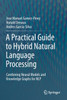 A Practical Guide to Hybrid Natural Language Processing by Jose Manuel Gomez-Perez (Paperback)