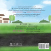 Every Day is a Fun Day 美好嘅童年 : Bilingual Picture Book in English, Cantonese and Jyutping by Andrea Voon (Paperback)