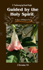 Guided By The Holy Spirit by Hazel Hoyte (Paperback)