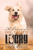 All Because of a Dog Called Lucky by Judith Spencer (Paperback)