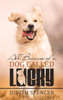 All Because of a Dog Called Lucky by Judith Spencer (Hardcover)