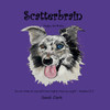 Scatterbrain : Happy Birthday by Sandi Clark (Paperback)