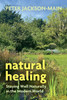 Natural Healing : Staying Well Naturally in the Modern World by Peter Jackson-Main (Paperback)