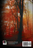 I'm Getting Married to Mothman by Paige Lavoie (Hardcover)