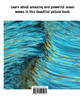 Awesome Ocean Waves by Wade McMillan (Paperback)