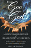 From Goo to God by Bruce  R Matson (Paperback)