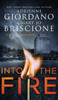 Into The Fire : A Gripping Amateur Sleuth Mystery