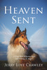 Heaven Sent : A True Story of Losing Hope and Finding an Angel