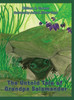 The Untold Tale of Grandpa Salamander