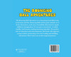 The Bouncing Ball Adventures