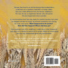 Searching for Grains