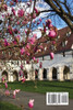 The Second Spring