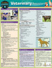 Veterinary Assistant