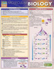 Molecular Biology