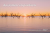 2027 Australian Inspirations Desktop Calendar