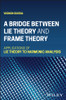 A Bridge Between Lie Theory and Frame Theory