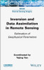 Inversion and Data Assimilation in Remote Sensing