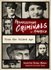 Professional Criminals of America