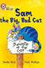 Sam and the Big Bad Cat