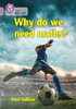 Why do we need maths?