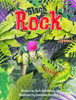 SIC - SiC4: Black Rock