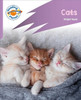 Reading Planet: Rocket Phonics - First Steps - Cats (Lilac Plus)