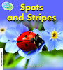 MSEA Spots and Stripes Teacher's Edition
