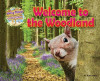 Welcome to the Woodland