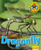 Wildlife Watchers: Dragonfly