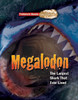 Megalodon