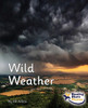 Wild Weather