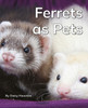 Ferrets as Pets
