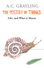 The Mystery of Things