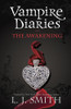 The Vampire Diaries: The Awakening