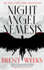Night Angel Nemesis