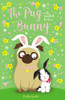 The Pug who wanted to be a Bunny