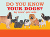 Do You Know Your Dogs?