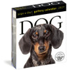 Dog Page-A-Day Gallery Calendar 2027