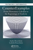 CounterExamples