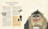 The Illustrated Encyclopaedia of Ugly Animals