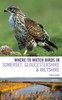 Where To Watch Birds in Somerset, Gloucestershire and Wiltshire