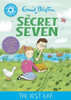 Reading Champion: The Secret Seven: The Lost Car