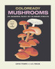 Coloready Mushrooms