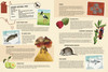 Little Explorer's Guide to NT National Parks
