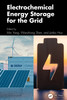 Electrochemical Energy Storage for the Grid